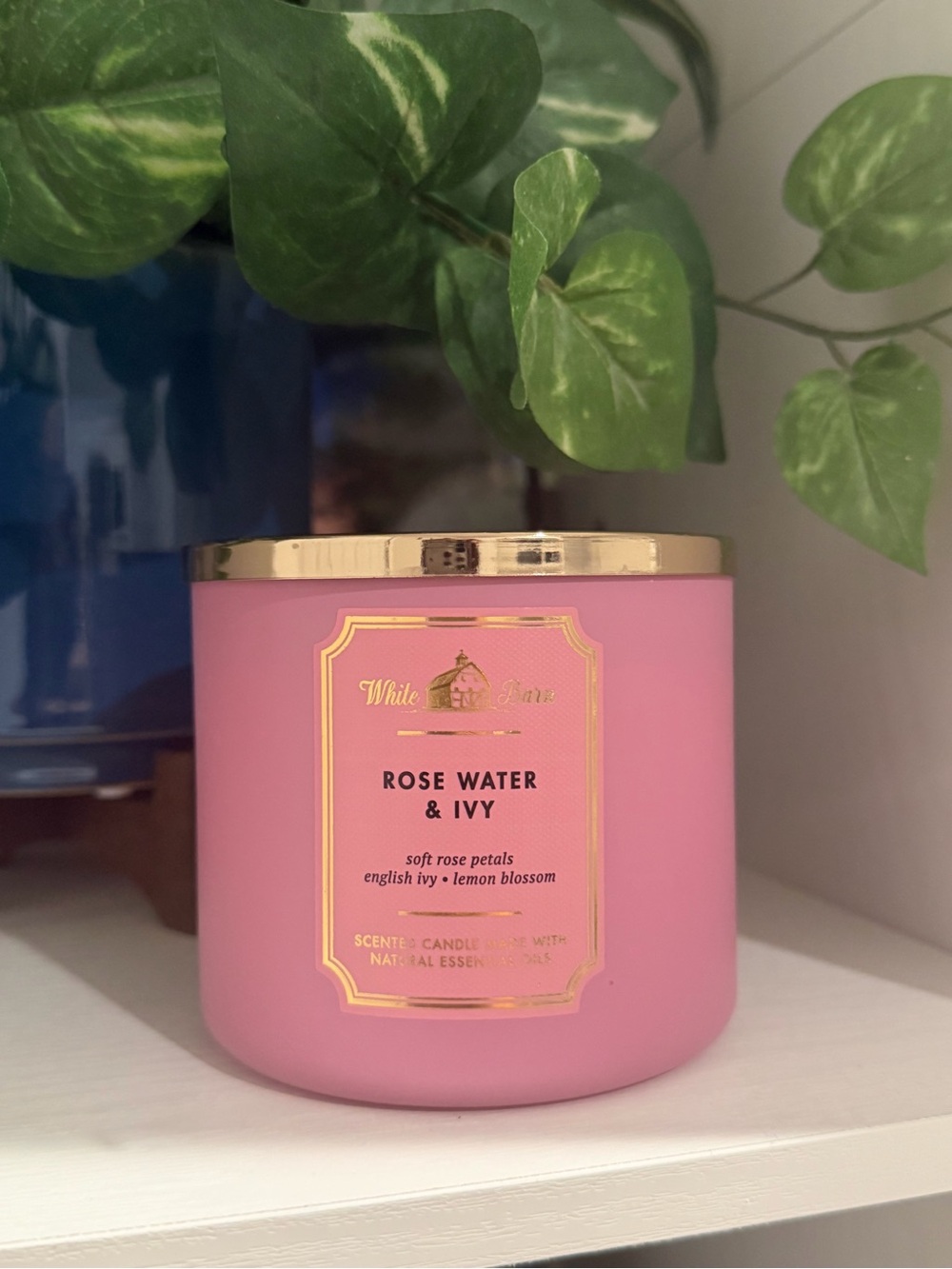White Barn Rose Water & Ivy Candle - Soft Pink